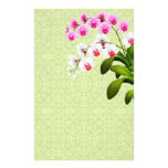 Pink White Phalaenopsis Orchid Flowers Stationery