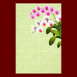 Pink White Phalaenopsis Orchid Flowers Stationery stationery
