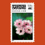 floral artists, customized art, midwestern