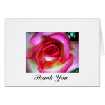 Pink & White Rose cards