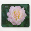 Pink white rose mousepads by aoirei Pink white rose mousepads