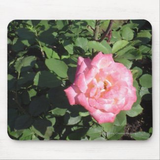 Pink White Rose mousepad