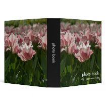 Pink & White Variegated Tulips DSC0871 binders