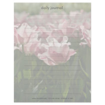 Pink & White Variegated Tulips DSC0871 letterhead