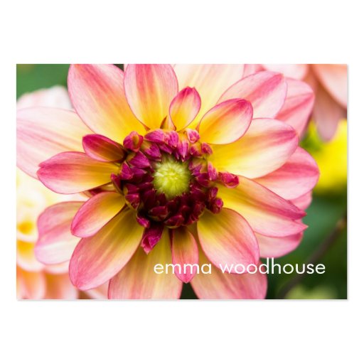 Pink, White & Yellow Dahlia Business Card Templates (front side)