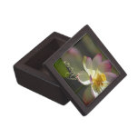 Pink White Yellow Lotus Blossom Serenity premium gift boxes