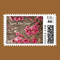 Pink Wild Azalea Blossoms stamps