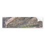 Pink Wild flowers, Baffin Island, Northwest Territ Bumper Sticker