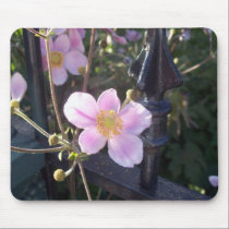 Pink Wild Flowers mousepads
