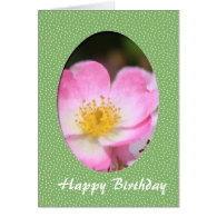 pink wild rose flower birthday, mother's day, greeting cards