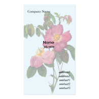 Pink wild rose  flower, Pierre Joseph Redouté Business Card Templates
