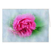 pink wild rose greeting card