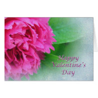 pink wild rose happy valentine's day card