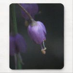 Pink Wildflower 2 Mousepad