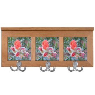 Pink Wildflower Buds Coat Racks