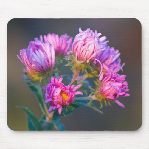 Pink Wildflower mousepad