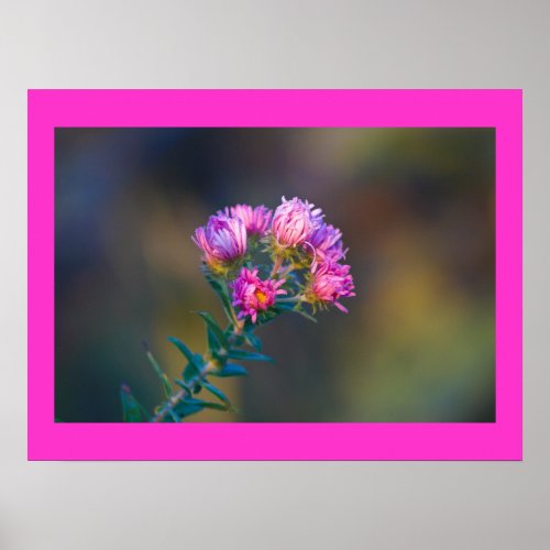 Pink Wildflower print