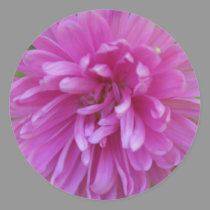 Pink Wildflower stickers