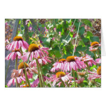 Pink Wildflowers Card