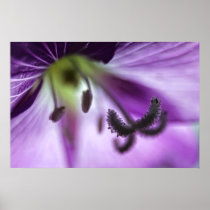Pink Willowherb Flower Art Macro Print
