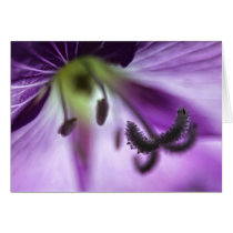 Pink Willowherb Flower card cards