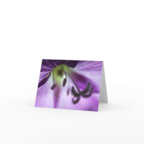 Pink Willowherb Flower note card cards