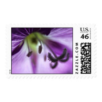Pink Willowherb Flower postage stamps