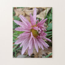 Pink Wink! puzzles