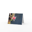 Pink Wonder Fuschia Card
