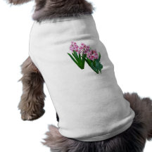 Pink yacinths All in a Row Dog Clothes
