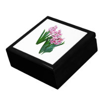Pink yacinths All in a Row gift boxes