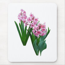 Pink yacinths All in a Row mousepads