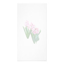 Pink yacinths All in a Row photo cards