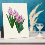 Pink yacinths All in a Row Photo Plaque