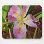 Pink-Yellow Beardless Iris Mouse Pad