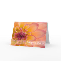 Pink & Yellow Dahlia DSC6069 Card