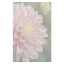 Pink & Yellow Dahlia stationery by HortusFloridus Pink & Yellow Dahlia stationery