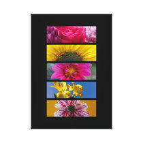 Pink & Yellow Macro Flowers Stretched Canvas Prints