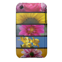 Pink & Yellow Macro Flowers iPhone 3 Case-Mate Cases