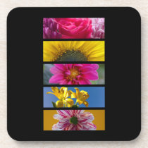 Pink & Yellow Macro Flowers Coaster