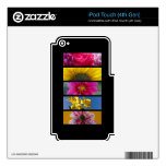 Pink & Yellow Macro Flowers iPod Touch 4G Skins