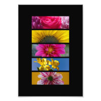 Pink & Yellow Macro Flowers photoenlargement
