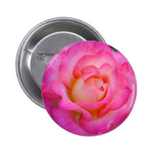 Pink & Yellow Rose Button