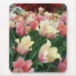 Pink & Yellow Tulips Mouse Pads