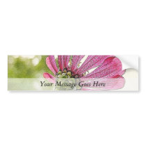 Pink Zinnia reaching for the sky Bumper Stickers