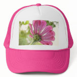Pink Zinnia reaching for the sky hats