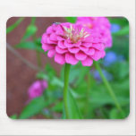 Pink Zinnia with a Bug mousepads