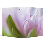Pinkalicious binders
