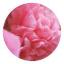Pinkalicious Stickers by farbie92 Pinkalicious Stickers
