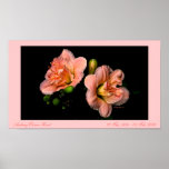 pinkduo61, Audrey Oliver Hunt, 22 ... - Customized Print